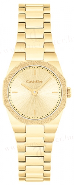 Calvin Klein CK25100142 karóra