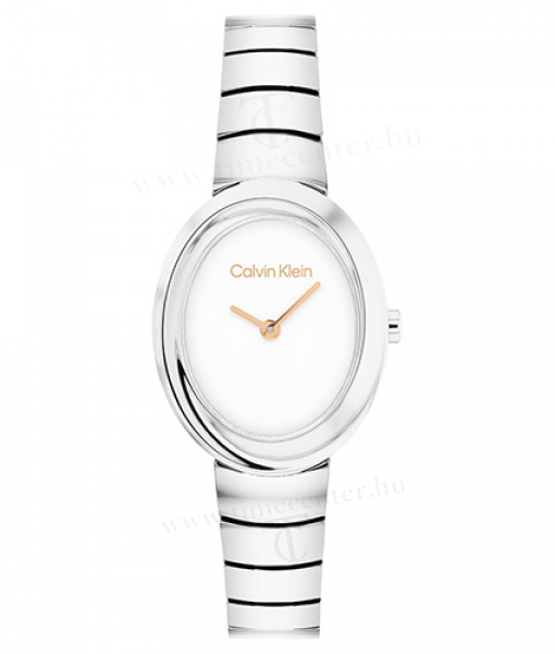 Calvin Klein CK25100149 karóra