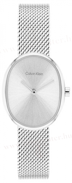 Calvin Klein CK25100173 karóra