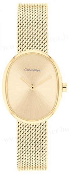 Calvin Klein CK25100174 karóra