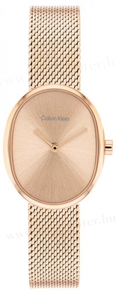 Calvin Klein CK25100175 karóra