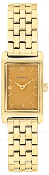 Calvin Klein CK25100198 karóra