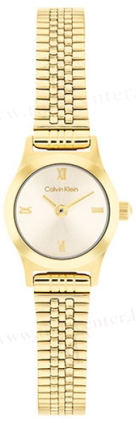 Calvin Klein CK25100201 karóra