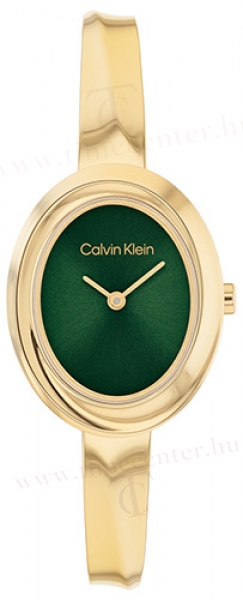 Calvin Klein CK25100203 karóra