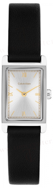 Calvin Klein CK25100208 karóra